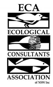 Shorebird Workshop Draft Flyer logo